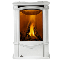 Napoleon Castlemore Direct Vent Cast Iron Gas Stove - Model GDS26N