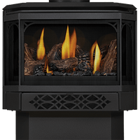 Napoleon Haliburton Electronic Ignition Direct Vent Gas Stove - Model GDS28-1NE
