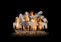 Grand Canyon 24-inch Quaking Aspen vented gas log set with hand-painted real Aspen wood logs and high-quality burner