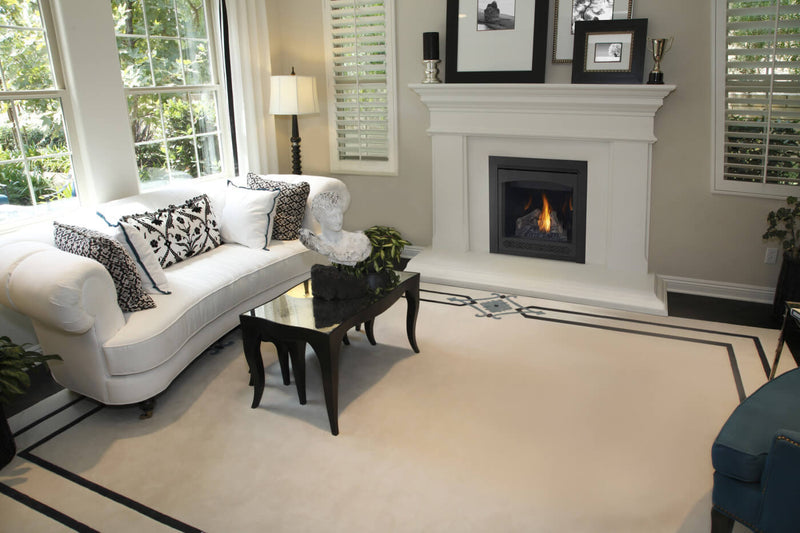 Napoleon Ascent 30" Direct Vent Gas Fireplace - Model B30NTRE-1