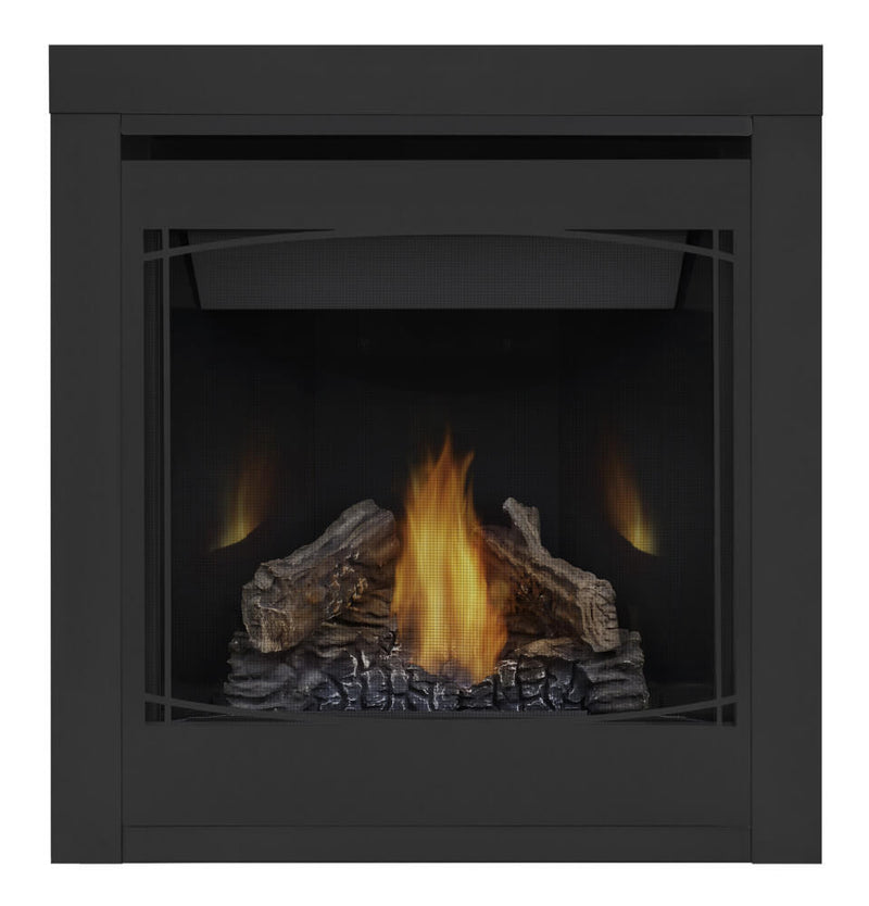 Napoleon Ascent 30" Direct Vent Gas Fireplace - Model B30NTRE-1