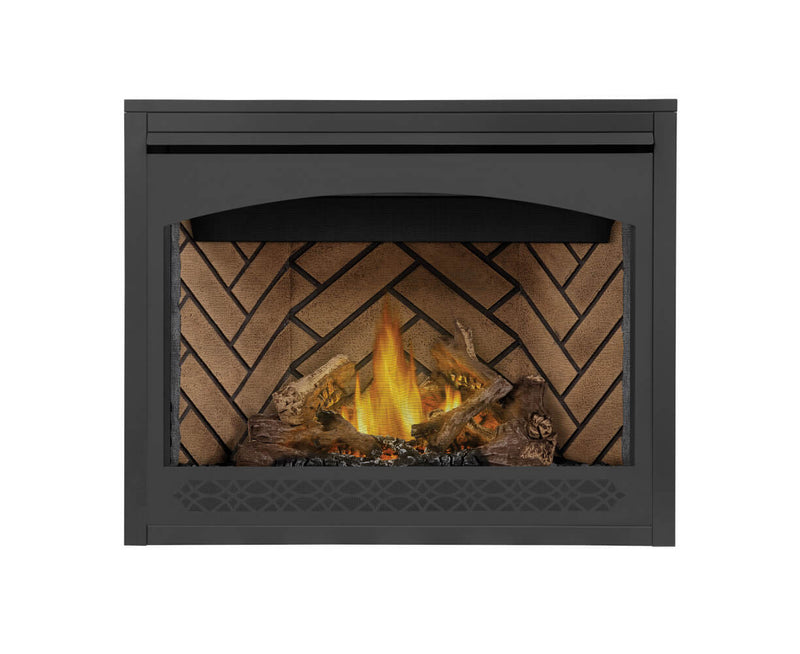 Napoleon Ascent 42" Direct Vent Gas Fireplace - Model B42TRE