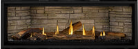 Napoleon Ascent Linear Premium X 56" Direct Vent Gas Fireplace - Model BLX56NTE