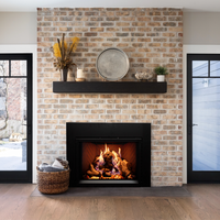 Empire Rainier 34" Direct Vent Gas Fireplace Insert - Model DVCP34