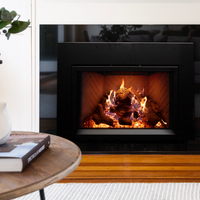 Empire Rainier 34" Direct Vent Gas Fireplace Insert - Model DVCP34