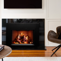 Empire Rainier 34" Direct Vent Gas Fireplace Insert - Model DVCP34