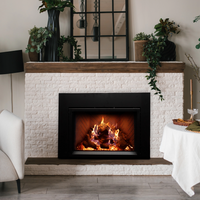 Empire Rainier 34" Direct Vent Gas Fireplace Insert - Model DVCP34