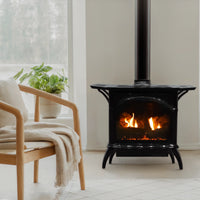 Empire Compact Cast Iron 20" Direct Vent Gas Stove - Model DVP20CC