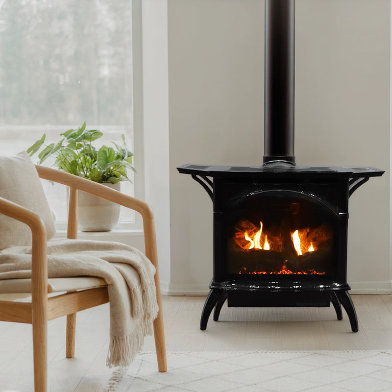 Empire Compact Cast Iron 20" Direct Vent Gas Stove - Model DVP20CC