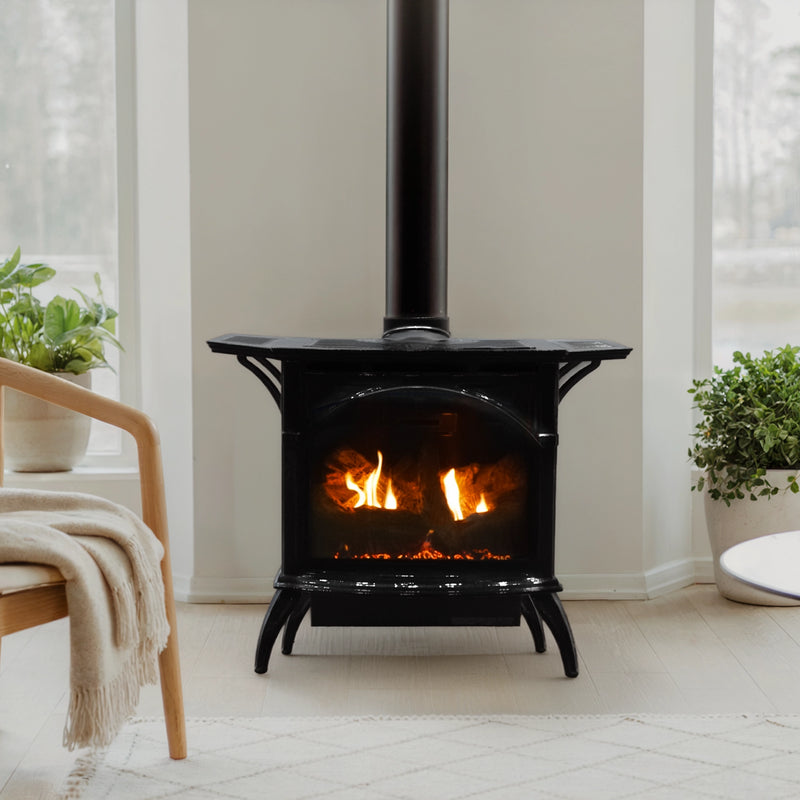 Empire Compact Cast Iron 20" Direct Vent Gas Stove - Model DVP20CC