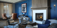 Napoleon Elevation 36" Direct Vent Gas Fireplace - Model E36NTE
