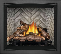 Napoleon Elevation 36" Direct Vent Gas Fireplace - Model E36NTE