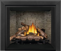 Napoleon Elevation 36" Direct Vent Gas Fireplace - Model E36NTE