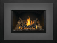 Napoleon Oakville 3 Direct Vent Gas Fireplace Insert - Model GDI3N-1