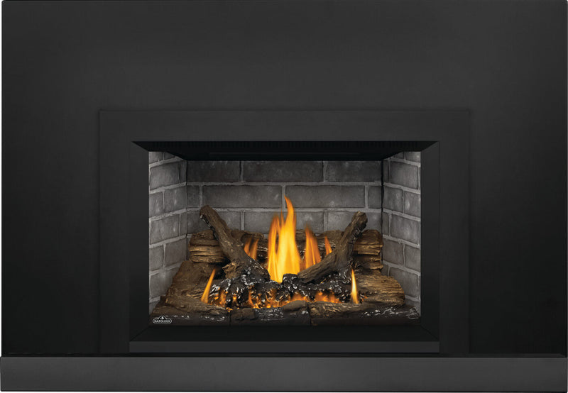 Napoleon Oakville 3 Direct Vent Gas Fireplace Insert - Model GDI3N-1