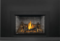 Napoleon Oakville 3 Direct Vent Gas Fireplace Insert - Model GDI3N-1