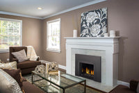 Napoleon Oakville 3 Glass gas insert lifestyle shot