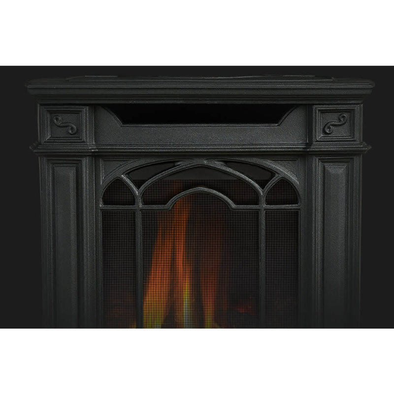Napoleon Arlington Direct Vent Cast Iron Gas Stove - Model GDS20