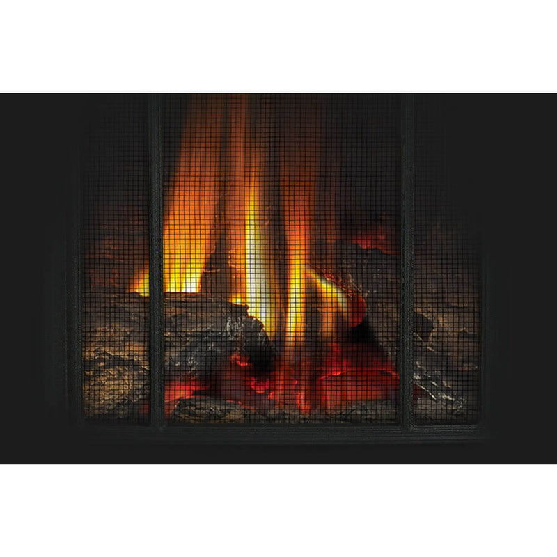 Napoleon Arlington Direct Vent Cast Iron Gas Stove - Model GDS20