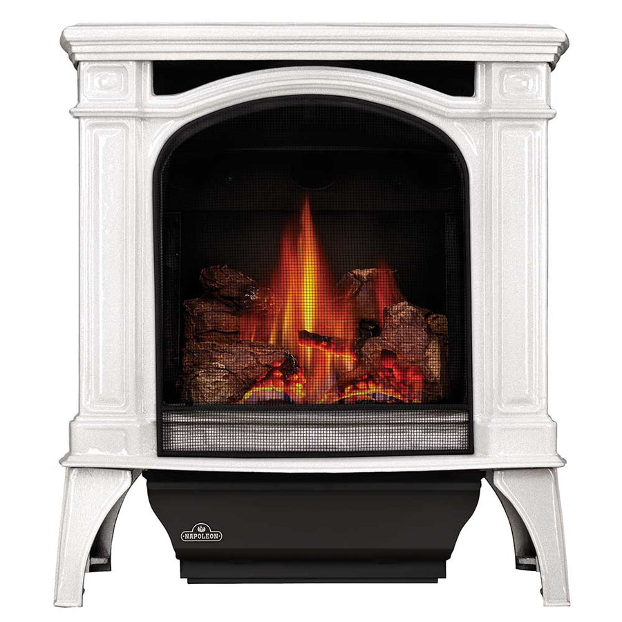 Napoleon Bayfield Direct Vent Cast Iron Gas Stove