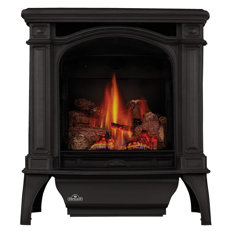 Napoleon Bayfield Electronic Ignition Direct Vent Cast Iron Gas Stove - Model GDS25NA-1