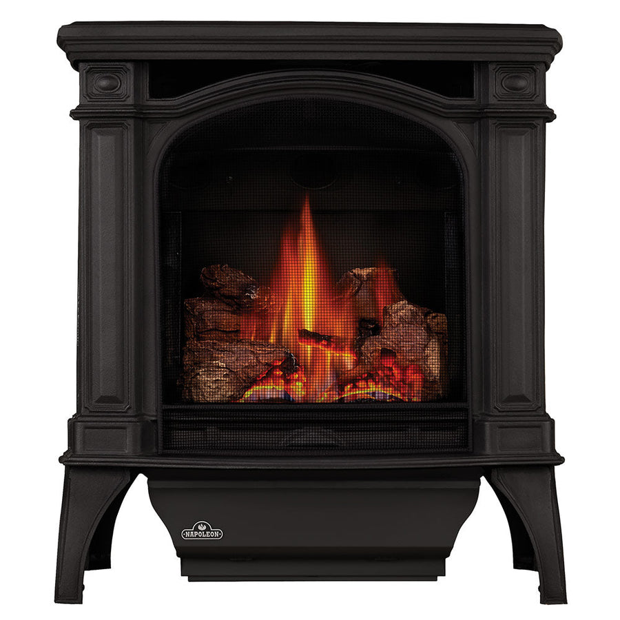 Napoleon Bayfield Electronic Ignition Direct Vent Cast Iron Gas Stove