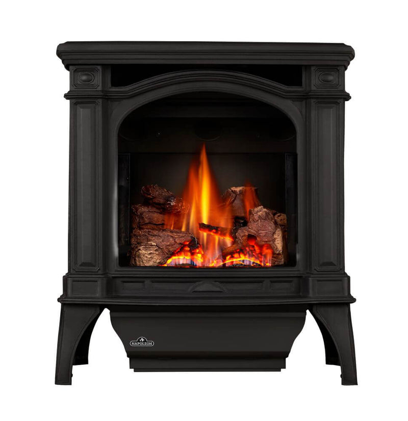 Napoleon Bayfield Direct Vent Cast Iron Gas Stove - Model GDS25-1