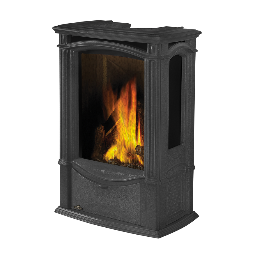 Napoleon Castlemore Direct Vent Cast Iron Gas Stove