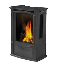 Napoleon Castlemore Direct Vent Cast Iron Gas Stove - Model GDS26N