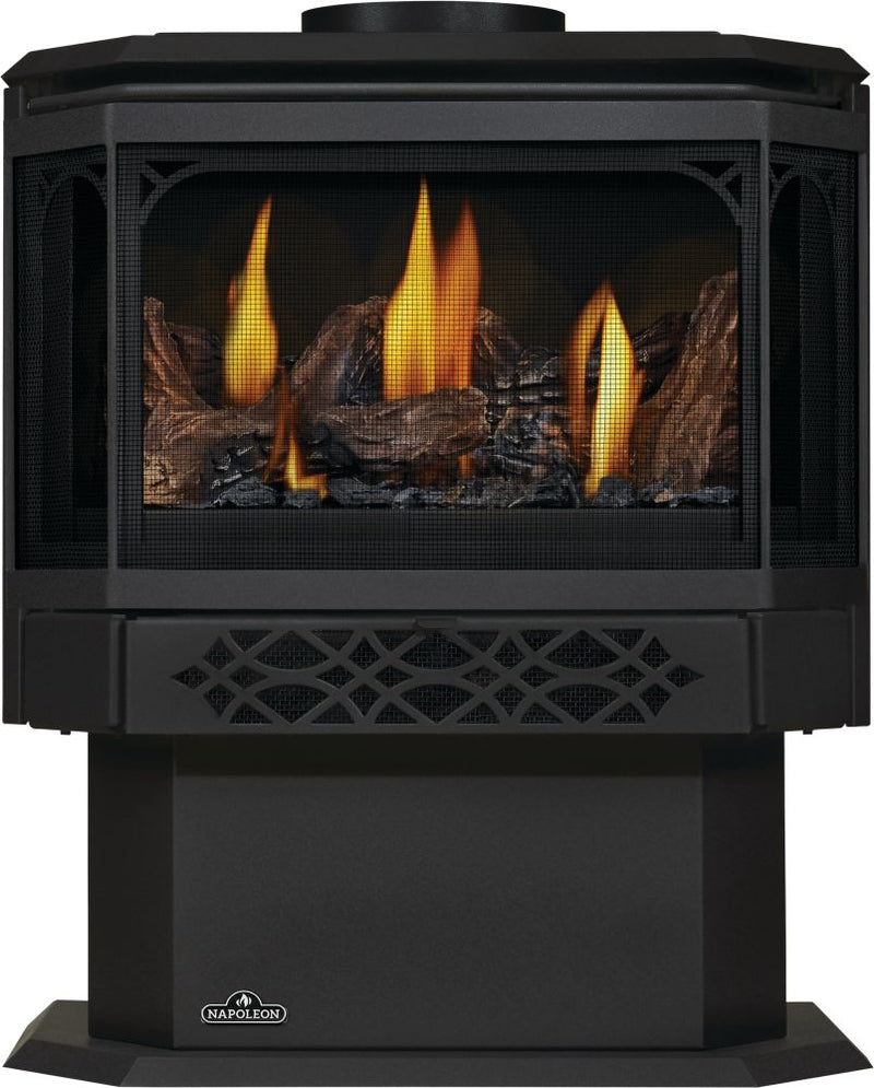 Napoleon Haliburton Electronic Ignition Direct Vent Gas Stove - Model GDS28-1NE