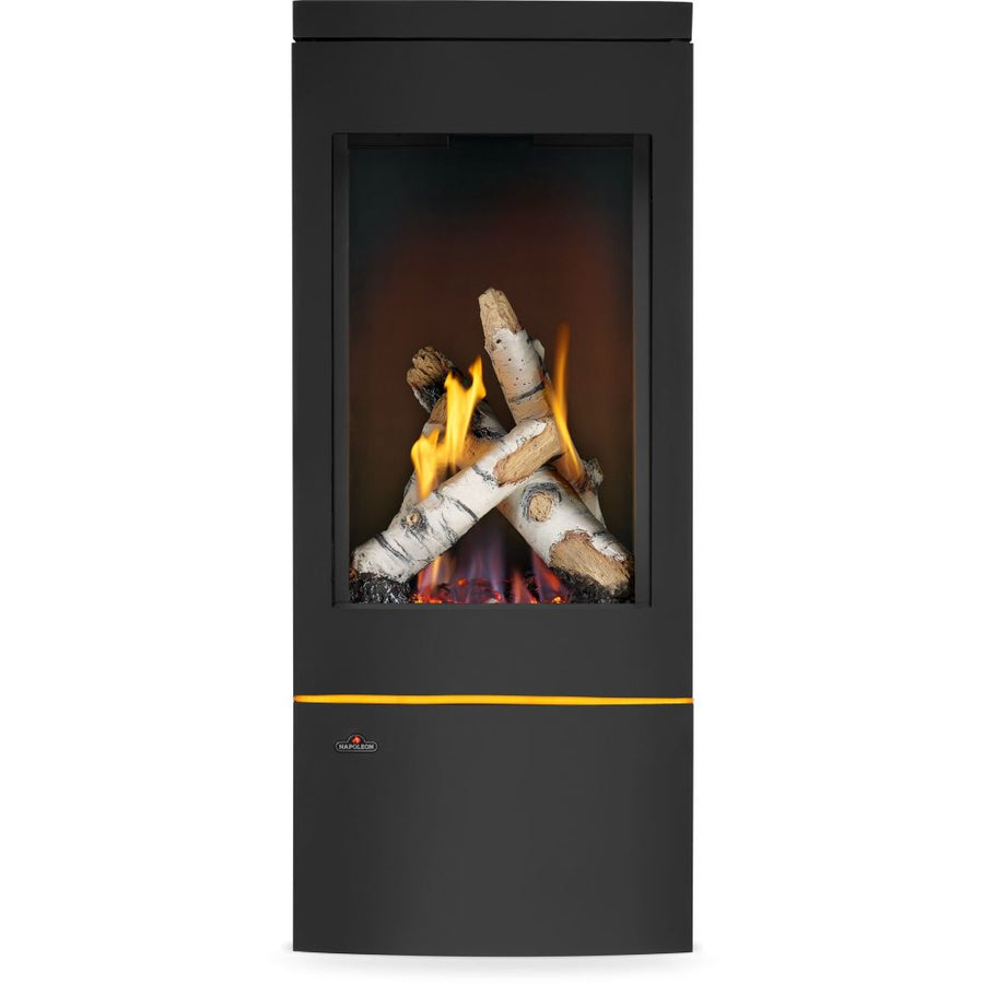 Napoleon Elora Direct Vent Gas Stove