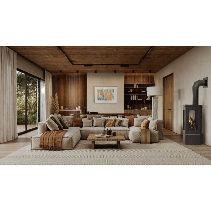 Napoleon Elora Direct Vent Gas Stove - Model GDS30LN