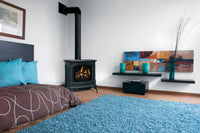Napoleon Knightsbridge Direct Vent Cast Iron Gas Stove - Model GDS60