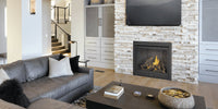Napoleon Ascent Deep 42" Direct Vent Gas Fireplace - Model D42PTRE
