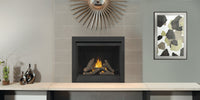 Napoleon Ascent Deep 42" Direct Vent Gas Fireplace - Model D42PTRE