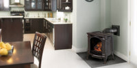Napoleon Bayfield Direct Vent Cast Iron Gas Stove - Model GDS25-1