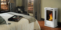 Napoleon Castlemore Direct Vent Cast Iron Gas Stove - Model GDS26N
