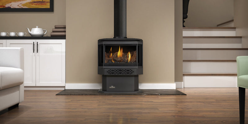 Napoleon Haliburton Electronic Ignition Direct Vent Gas Stove - Model GDS28-1NE