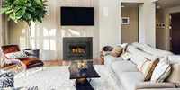 Napoleon Inspiration ZC Direct Vent Gas Fireplace Insert - Model GDIZC-NSB