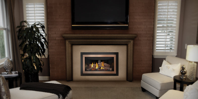 Napoleon Inspiration ZC Direct Vent Gas Fireplace Insert - Model GDIZC-NSB