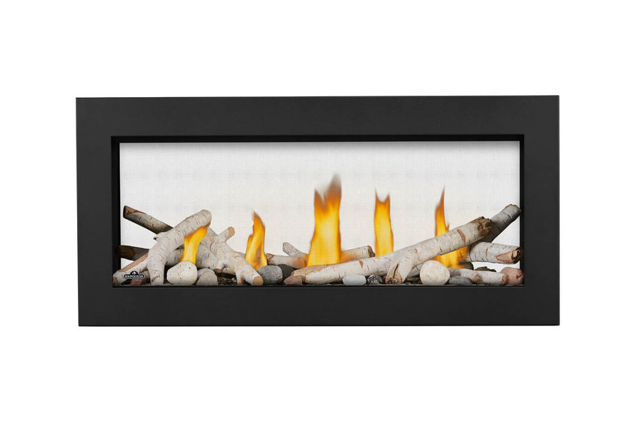Napoleon Vector 38" See-Through Direct Vent Linear Gas Fireplace