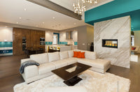 Napoleon Vector 38 See Through linear gas fireplace lifestyle angle shot in living room