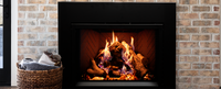 Empire Rainier 34" Direct Vent Gas Fireplace Insert - Model DVCP34
