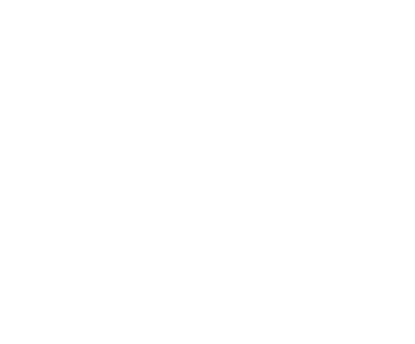 ORDER 10185 / DIRECT SHIPPING CHARGE