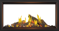 Napoleon Tall Linear Vector 50" See-Through Direct Vent Gas Fireplace - Model TLV50LN2