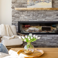 Empire Boulevard 48 see-through vent-free with mantel