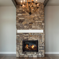 Empire Breckenridge Premium 36" See-Through Vent-Free Gas Firebox - Model VFP36SB2E