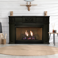 Empire Innsbrook 20" Vent-Free Gas Fireplace Insert - Model VFPC20IN