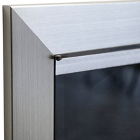 Arden - Masonry Fireplace Door - ExceptionalFire