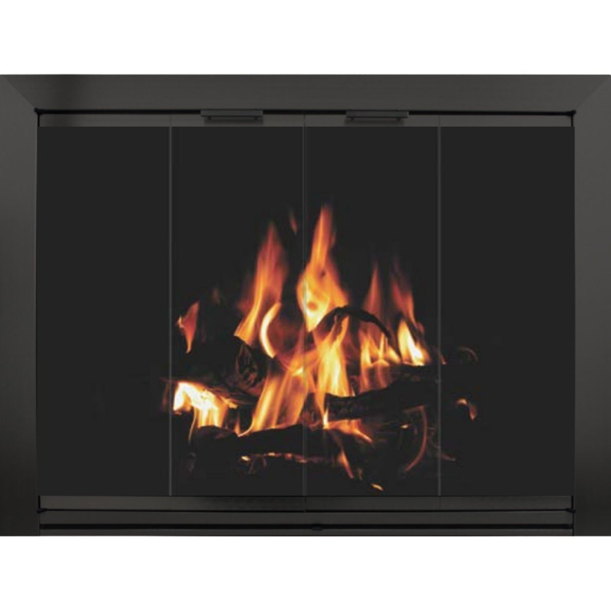 Arden - Masonry Fireplace Door